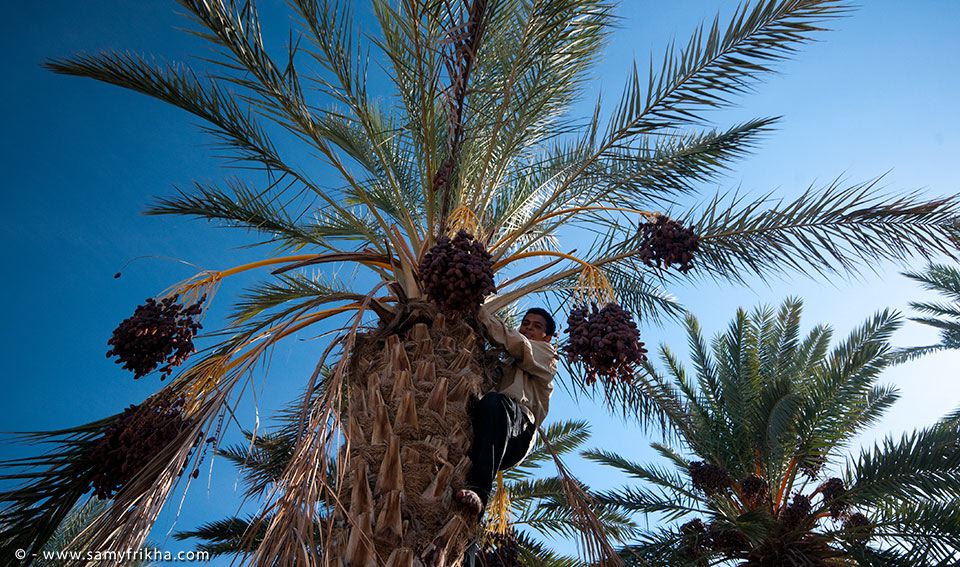 placeholder image-sq