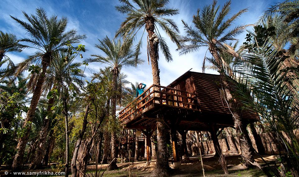 placeholder image-sq